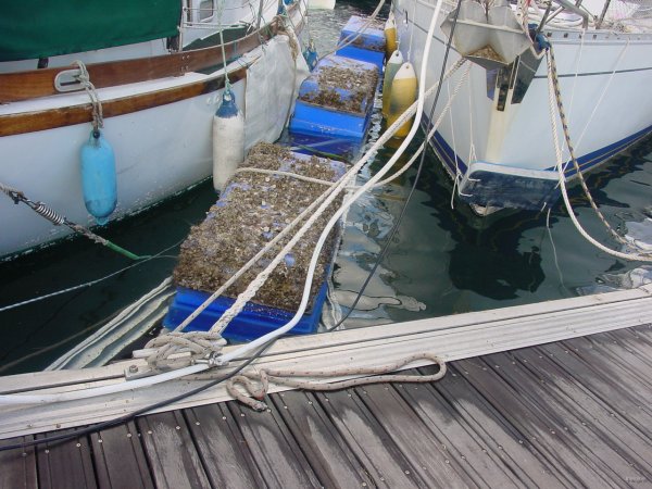 16- Catways retournes entre les bateaux 